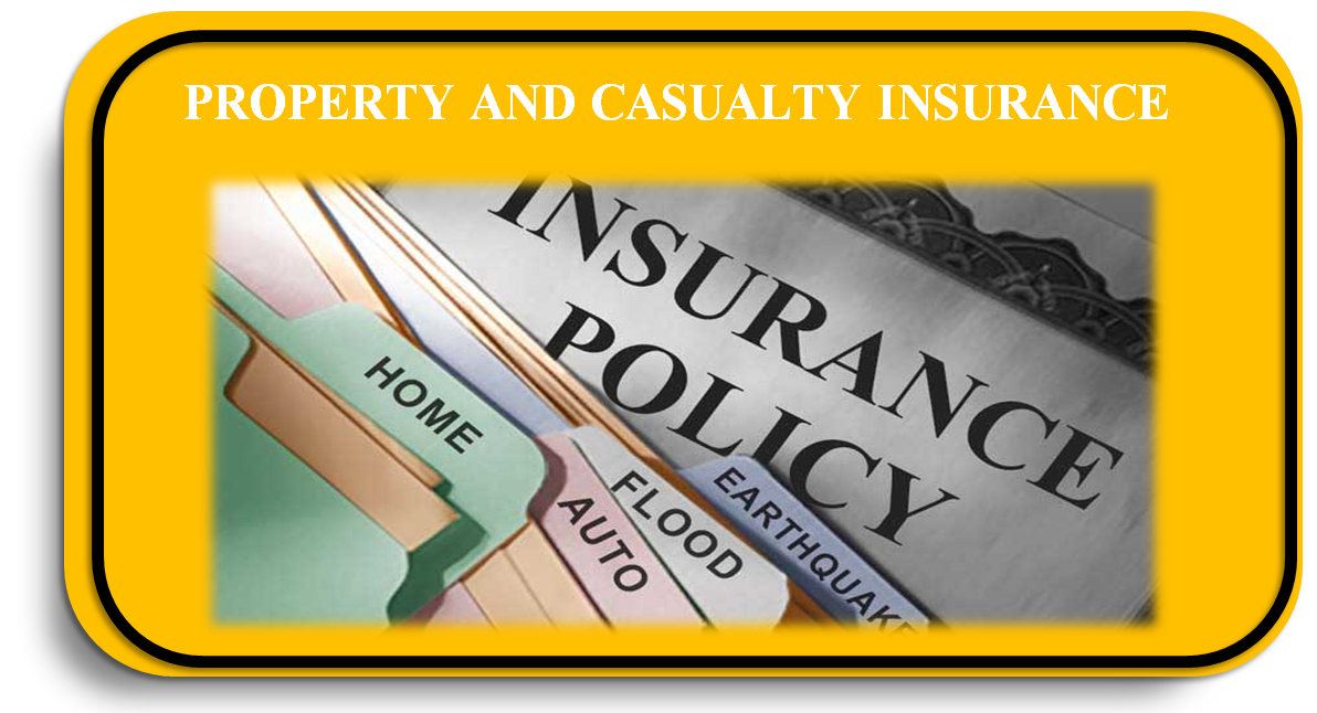 Property and Casualty Insurance