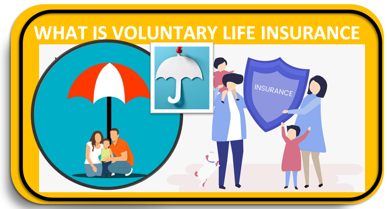 What is Voluntary Life Insurance